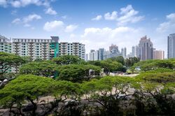 Blk 55 Havelock View (Bukit Merah), HDB 3 Rooms #613802321